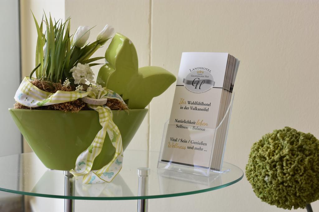Landhotel Gillenfelder Hof Ngoại thất bức ảnh